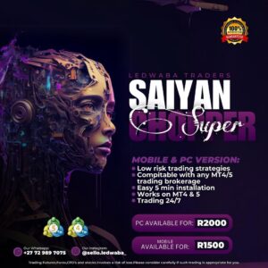 Super Saiyan Chopper 3.0