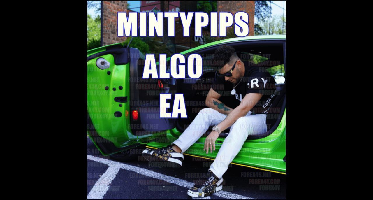MINTYPIPS ALGO EA v1 Trading Interface and Settings