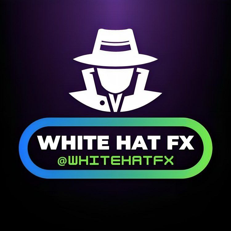 WHITE HAT FX V3.1 MT5 Trading Interface and Settings