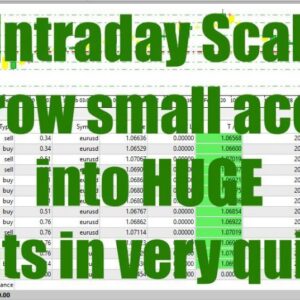 FX Intraday Scalper Robot V3.0 Mt4